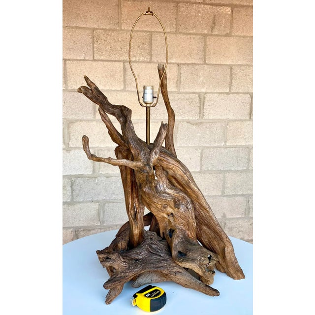 Wood Monumental Organic Driftwood Sculptural Table Lamp For Sale - Image 7 of 12