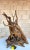 Wood Monumental Organic Driftwood Sculptural Table Lamp For Sale - Image 7 of 12
