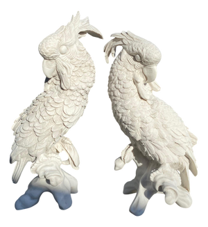 20th Century Meissen Parrots, Set of 2