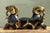 Black Vintage Egyptian Gilt Tipped Rams Head Sculpture For Sale - Image 8 of 12