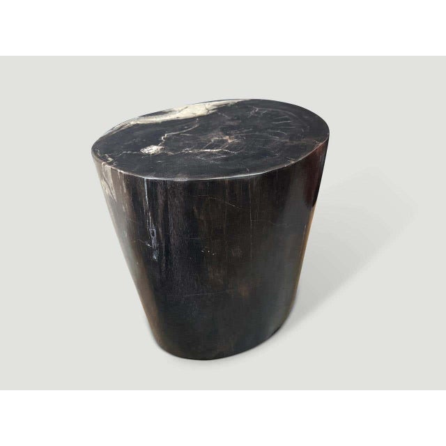 Andrianna Shamaris Impressive Ancient Petrified Wood Side Table For Sale - Image 4 of 6