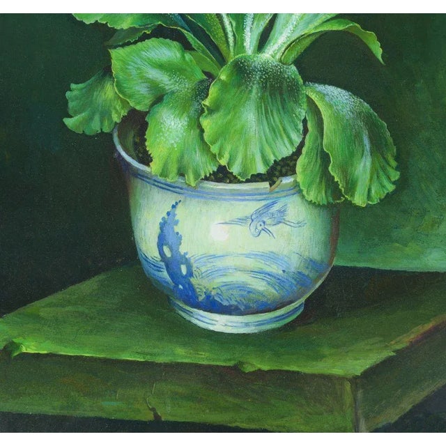 1980s 1980s Green and Yellow Auricula in Blue and White Bowl Gouache Painting by Jose Escofet For Sale - Image 5 of 9