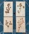 Authentic Antique Swedish Pressed Botanicals Beautifully Composed Herbarium Specimens Vintage Pressed Wild Flowers - Set of 4 For Sale - Image 11 of 11