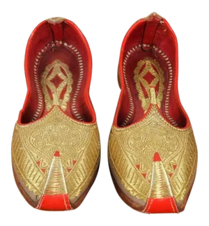 Gold and Red Embroidered Leather Shoes