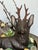 Wood Vintage Hand-Carved Wooden Deer Diorama Folk Art Stag Sculpture in Rustic Bowl Woodland Centerpi For Sale - Image 7 of 7