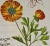 Sculpture Materials Basilius Besler Buttercup Flowers: A Besler 18th Century Hand-colored Botanical Engraving, 1713 For Sale - Image 7 of 9