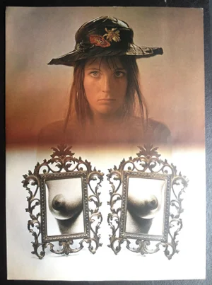 1970s Vintage Sam Haskins Print