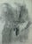 Heinrich Pforr, Studies of Women, 1920s, Pencil For Sale - Image 10 of 13