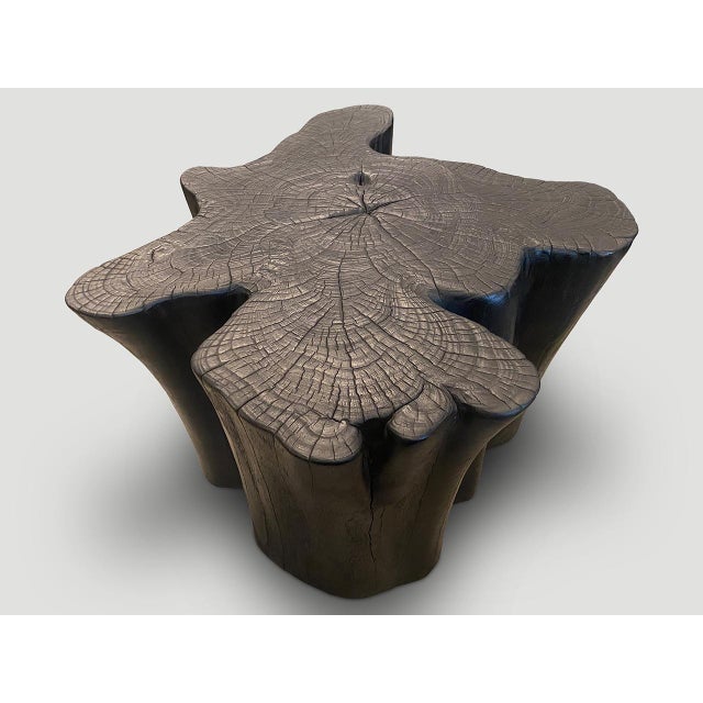 Andrianna Shamaris Amorphous Charred Teak Wood Coffee Table For Sale - Image 12 of 18