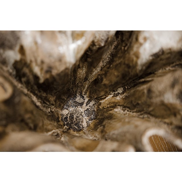 Sand Flourish Vase II For Sale - Image 8 of 8