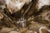 Sand Flourish Vase II For Sale - Image 8 of 8