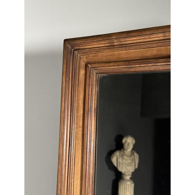 19th Century Belgian Full-Length Mirror For Sale - Image 17 of 18