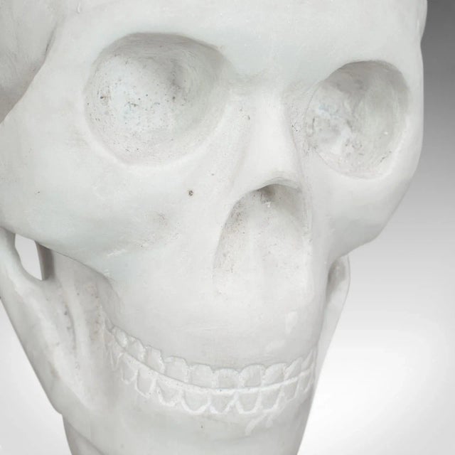 Stone 20th Century Marble Carved Decorative Skull For Sale - Image 7 of 11