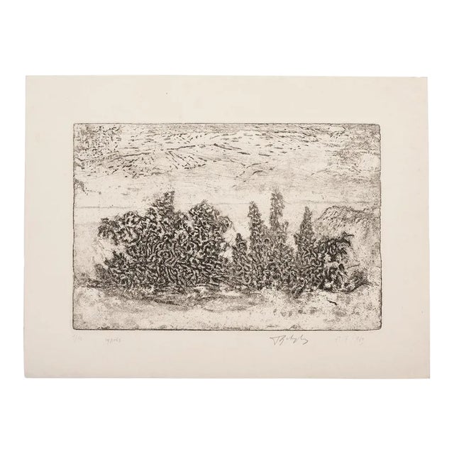 Unknown - Landscape - Original Etching on Paper - 1969 For Sale