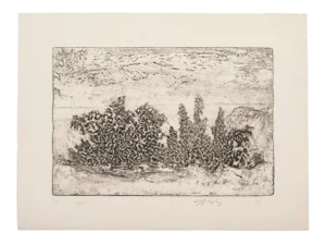 Unknown - Landscape - Original Etching on Paper - 1969