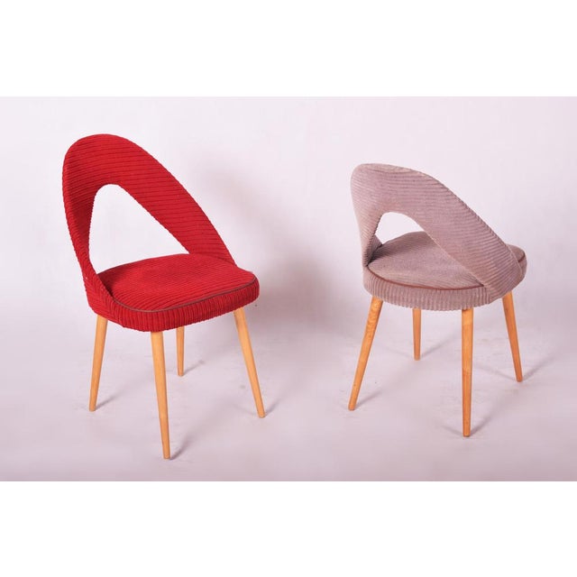 Gray Mid-Century Chairs in Beech, Czech, 1950s, Set of 4 For Sale - Image 8 of 11