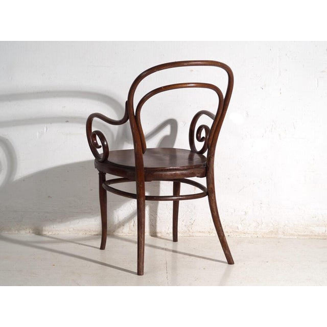 Armchair in Bentwood from Thonet, Austria, 1900 For Sale - Image 9 of 10