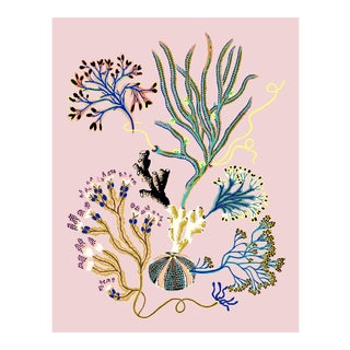 Sea Garden Vignette Giclee Print by Sarah Gordon For Sale