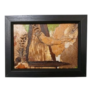 Nature Collage Mini Art Painting Bark Wood Australia Paper Feathers Black Frame For Sale