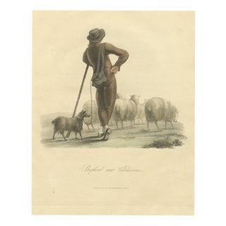 After Miss Semple, Shepherd Near Valenciennes with His Flock, 1817, Engraving For Sale