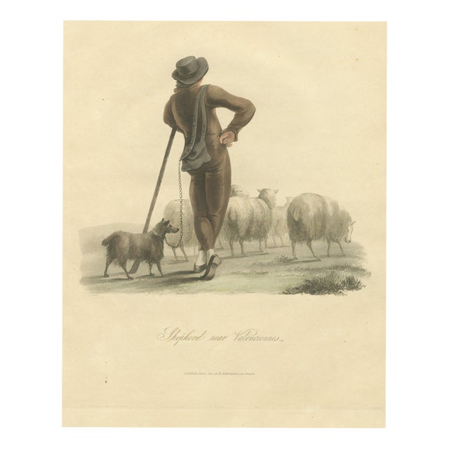 After Miss Semple, Shepherd Near Valenciennes with His Flock, 1817, Engraving For Sale