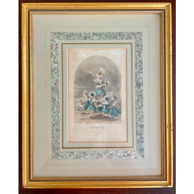 Mid 19th Century “Les Fleurs Animées” Original Hand-Painted Antique French Lithographs 1846, Set of 6, Framed For Sale - Image 10 of 12