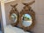 American Pair of Monumental Federal Giltwood Eagle Convex Mirrors For Sale - Image 3 of 18