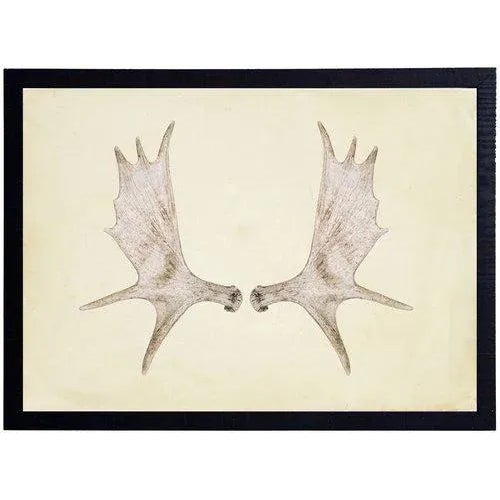 Boho Chic Horizontal Antlers - 23" X 17" For Sale - Image 3 of 3