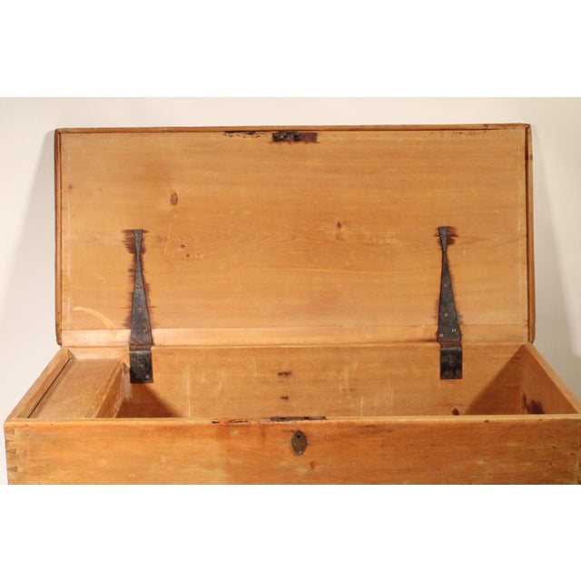 Antique Pine Trunk For Sale - Image 12 of 15