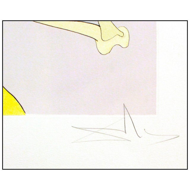 Surrealism 1974 the Elephant and the Monkey Jupiter Surrealism Yellow Engraving Salvador Dalí For Sale - Image 3 of 6