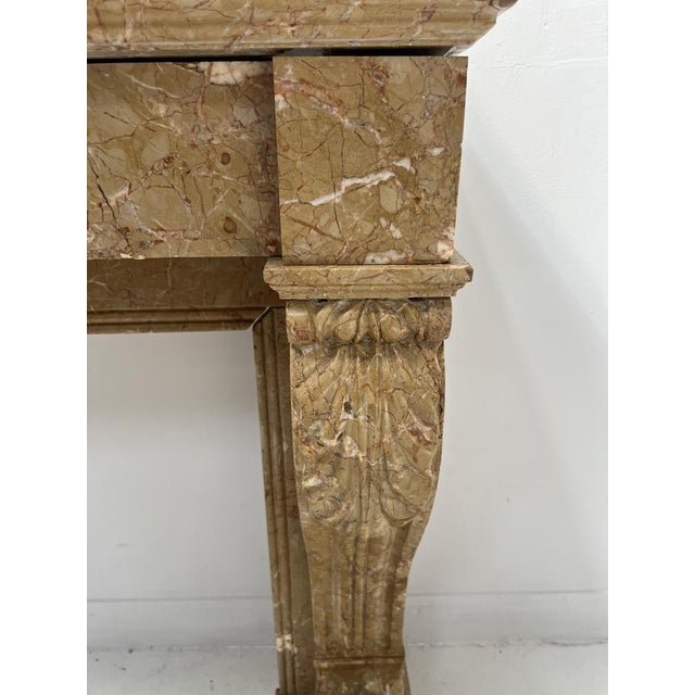 Napoleon III Fireplace with Claw Feet in Speckled Marble, 1800s For Sale - Image 6 of 18