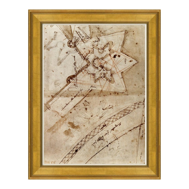 Schizzare II Framed Art Print by David Phoenix For Sale