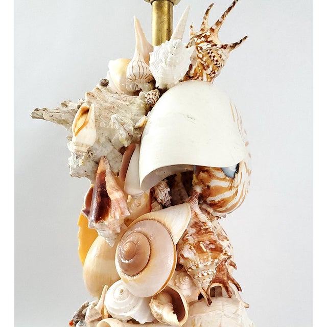 Lamp Seashells Shells - Vintage Restored For Sale - Image 10 of 17