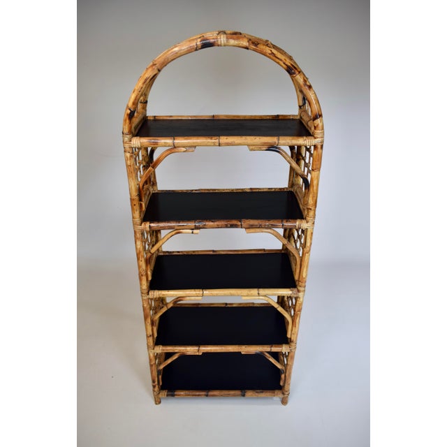 Coastal British Colonial Style Tortoise Bamboo Etagere Bookcase Shelf Arched For Sale In Philadelphia - Image 6 of 8