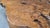 Freeform Coffee Table in Elm, 1970s For Sale - Image 6 of 15