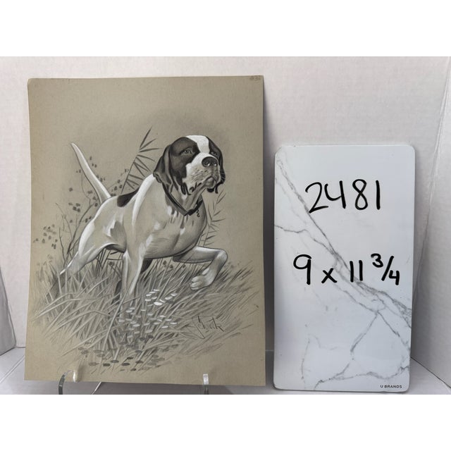 1940s Original Signed Graphite Illustration of Pointer Hunting Dog, 11.75 × 9 In. For Sale In Atlanta - Image 6 of 6