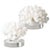 White Coral on Lucite Base For Sale - Image 4 of 6