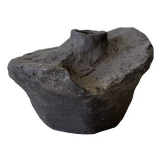 Vessel Bruto For Sale