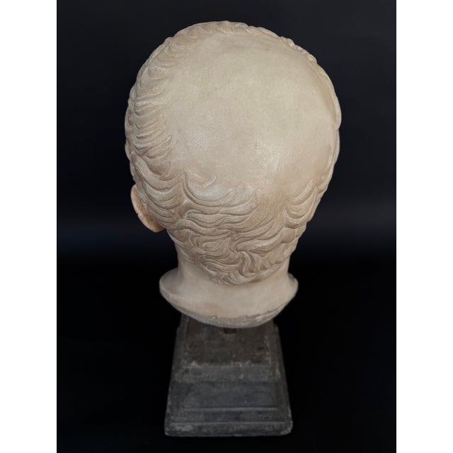 Head of Marcus Tullius Cicero, Late 18th Century, Marble For Sale - Image 17 of 18