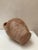 Rustic Vintage Beige Faience Vase For Sale - Image 3 of 5
