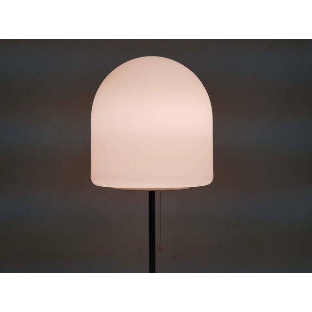 Model A251 Floor Lamp by Aldo Van Den Nieuwelaar for Artimeta, 1972 For Sale - Image 4 of 8