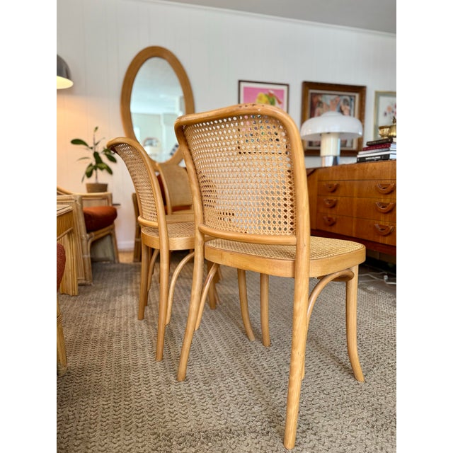 Set of Four Iconic Cane Bentwood Chairs Designed by Josef Hoffmann, Model No. 811, and Produced by Fmg, Circa 1960s. For Sale - Image 11 of 12