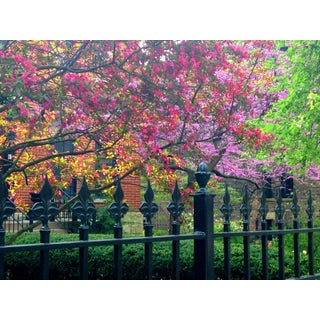 Josh Moulton "Spring in Lincoln Park" Giclee Print For Sale