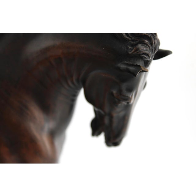 Giovanni Bologna's Bronzed Medici Horse Sculpture, Tabletop 10.5" For Sale - Image 9 of 11