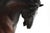 Giovanni Bologna's Bronzed Medici Horse Sculpture, Tabletop 10.5" For Sale - Image 9 of 11