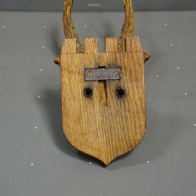 Red Deer Trophy on Wooden Plaque, by Philip Ernst, Prince of Thurn and Taxis, 1955 For Sale - Image 6 of 6