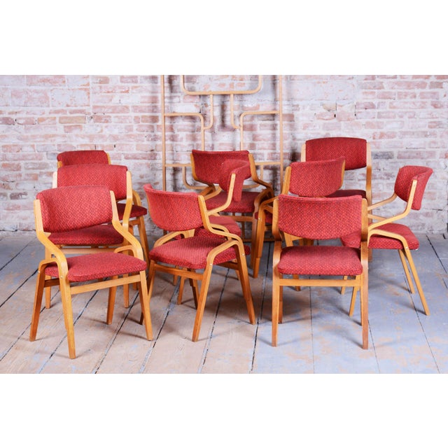 Mid-Century Czech Chair in Maple attributed to Ludvik Volak for Drevopodnik Holesov, 1960s For Sale - Image 12 of 18