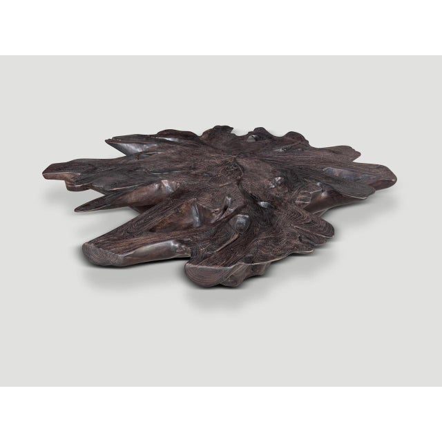 Black Andrianna Shamaris Impressive Sculptural Teak Wood Root Coffee Table For Sale - Image 8 of 18