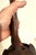 Metal Naomi Siegmann, Naomi Siegmann Bronze Polychrome Surrealist Dress Sculpture Mexico Woman Artist For Sale - Image 7 of 14