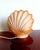 1980s Vintage Seashell Lamp in Ceramic and Glass, 1980s For Sale - Image 5 of 7